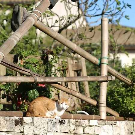 Sources En Perigord Issigeac