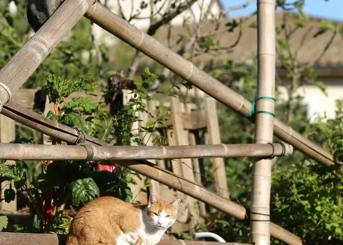 Sources En Perigord Issigeac